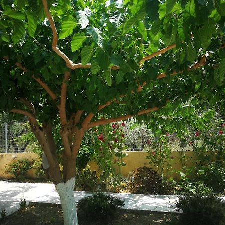 Apartments By The Sea Gazi المظهر الخارجي الصورة