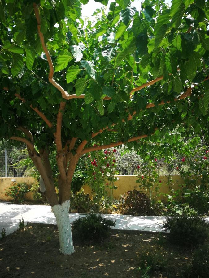 Apartments By The Sea Gazi المظهر الخارجي الصورة